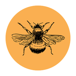 A black bee with it's wings spread in an orange circle